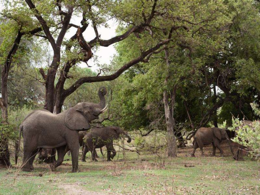 Mosi-oa-Tunya National Park