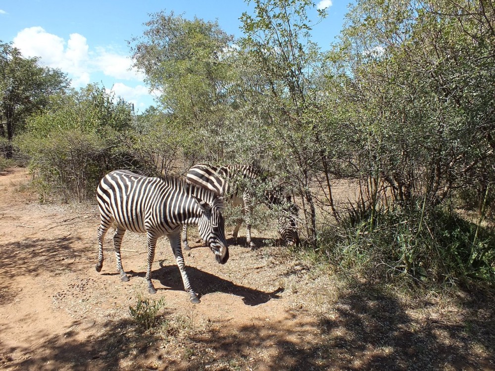 Mosi-oa-Tunya National Park
