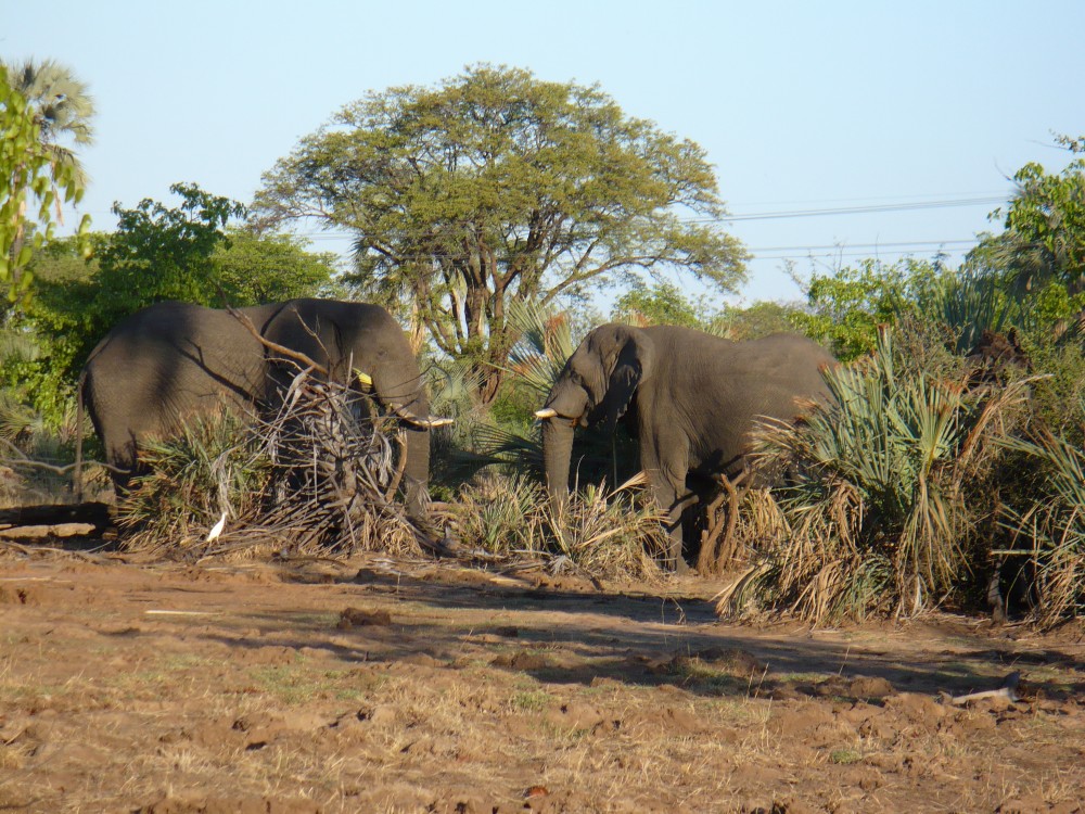 Mosi-oa-Tunya National Park