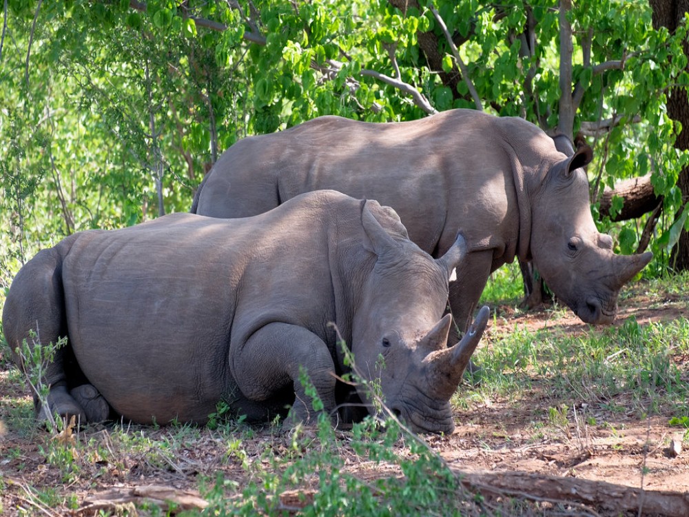 Mosi-oa-Tunya National Park