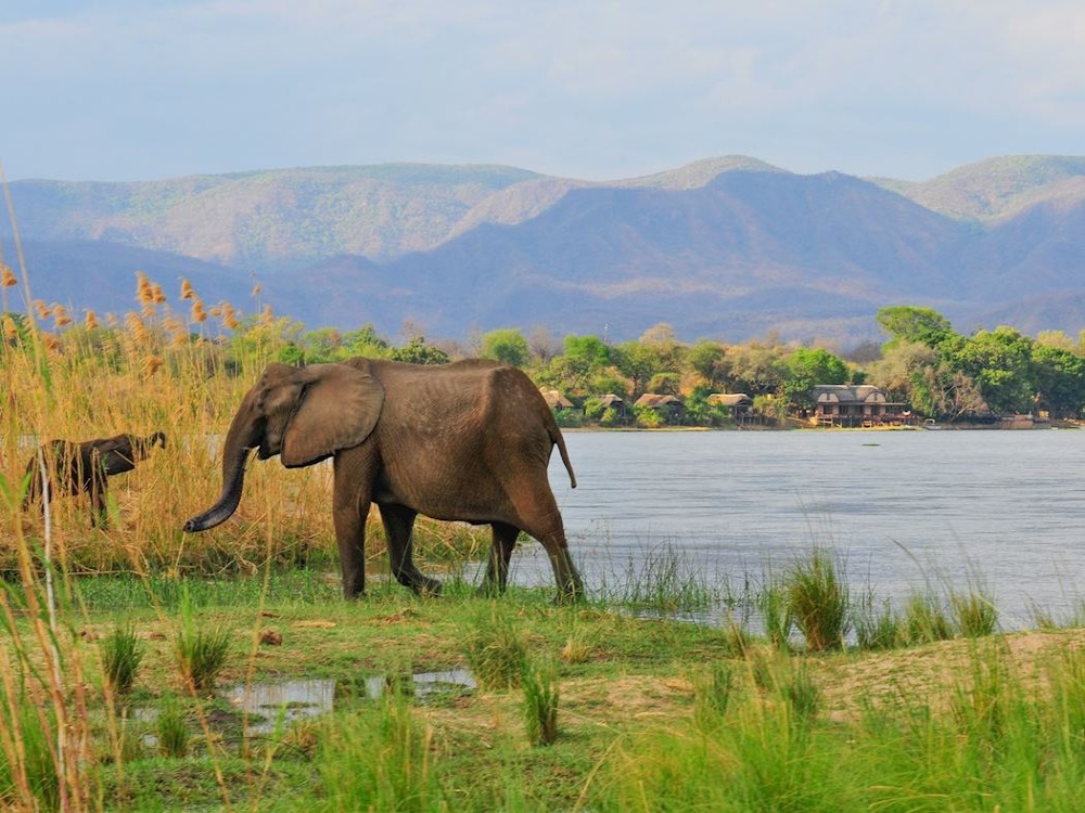 Lower Zambezi National Park