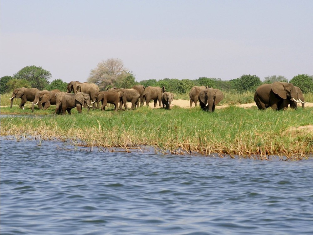 Lower Zambezi National Park