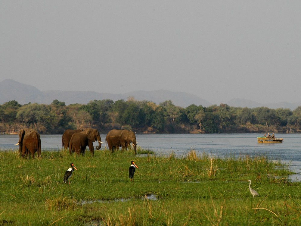 Lower Zambezi National Park