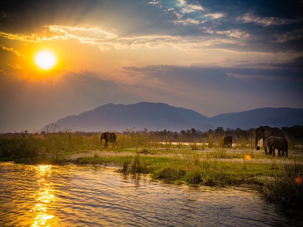 Lower Zambezi National Park