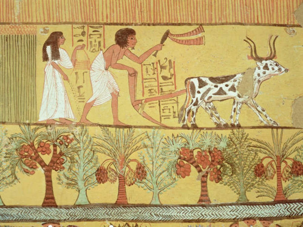 Deir el-Medina (Valley of the Artisans)