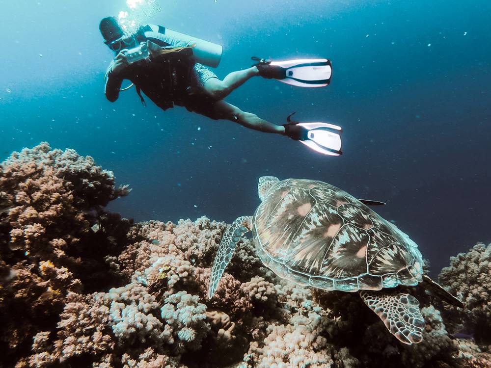Antalya: Antalya Scuba Diving | ®ExcursionMania