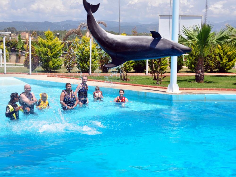 Antalya Swim With Dolphins