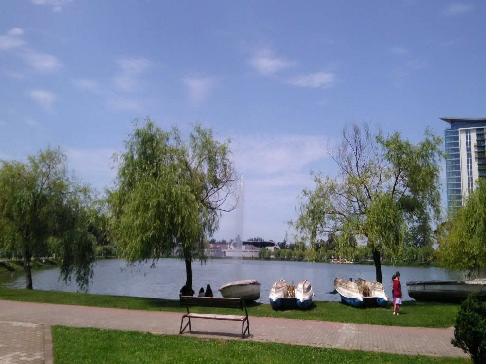 6 May Park