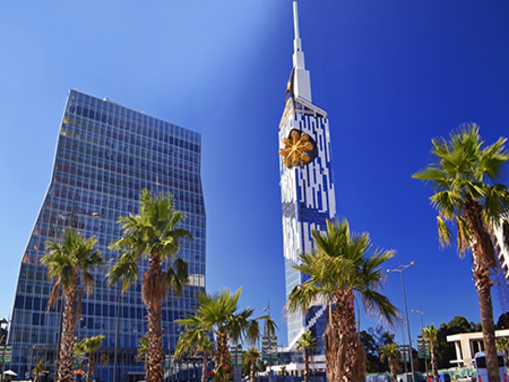 Batumi Tower Ferris Wheel