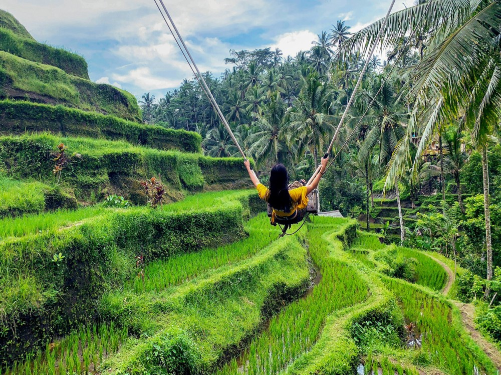 Tegalalang Rice Terrace