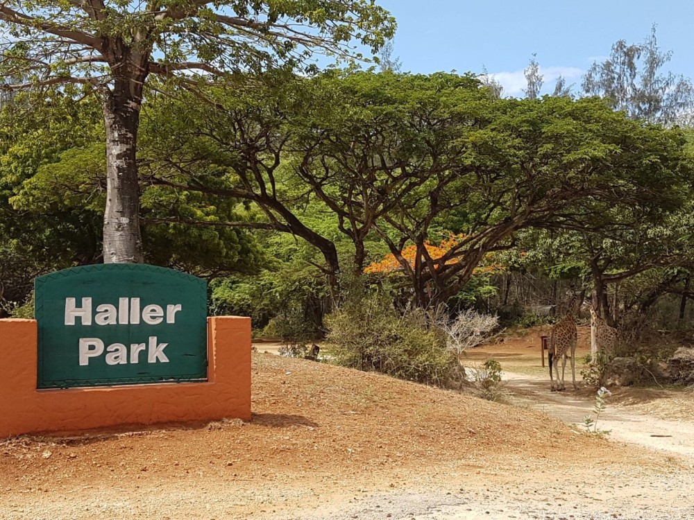 Haller Park