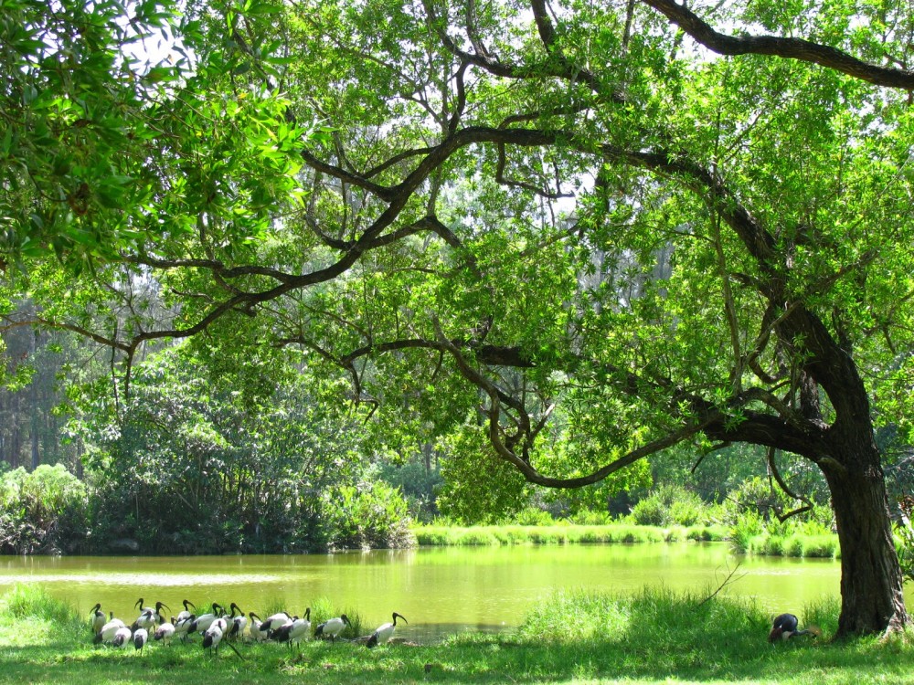 Haller Park