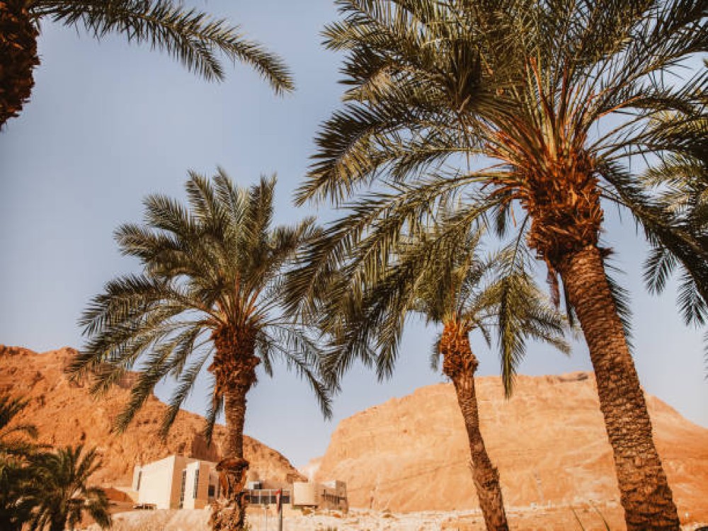 Dead Sea Museum