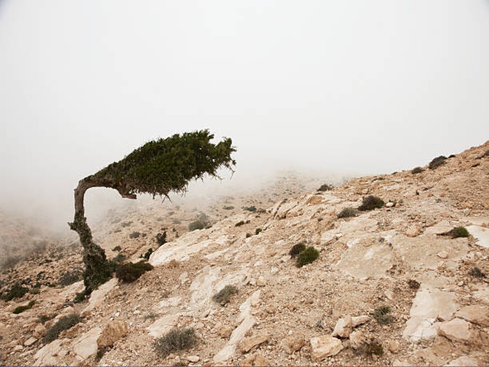 Mujib Biosphere Reserve (Wadi Mujib)