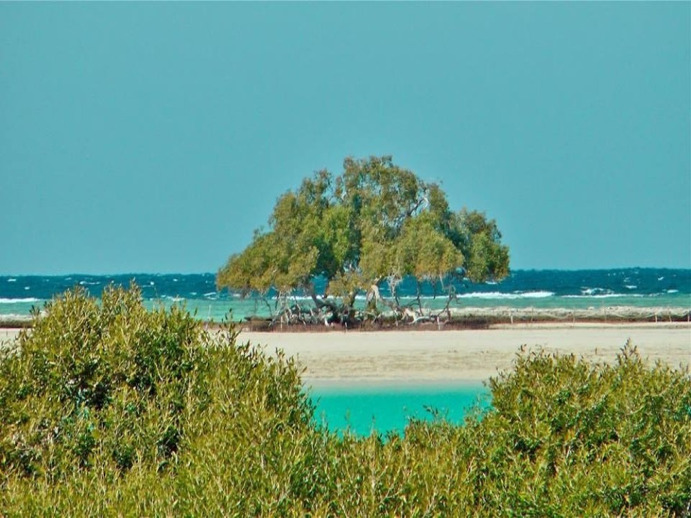Sharm El Luli 