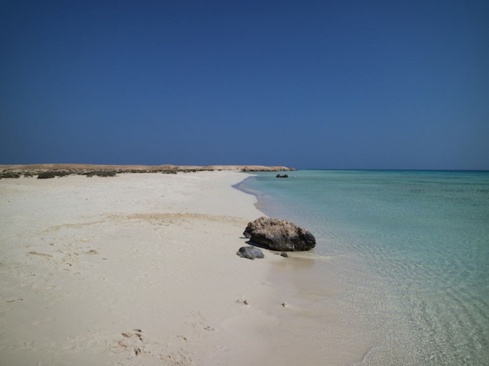 Sharm El Luli 