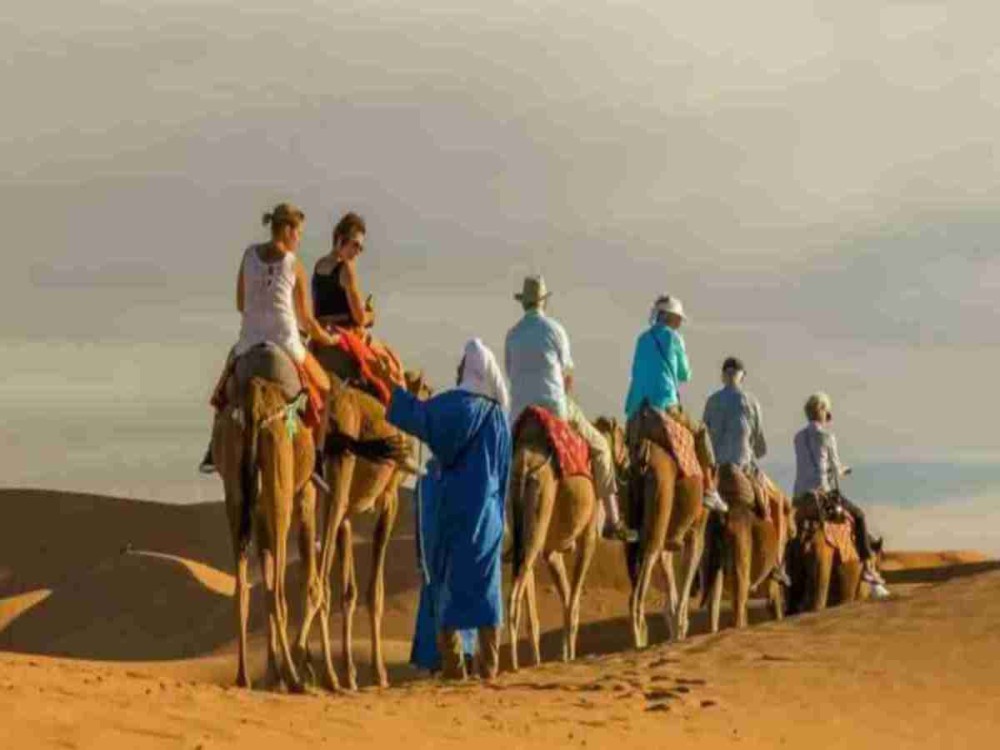 Beyond the Medina: Day Trips from Marrakech