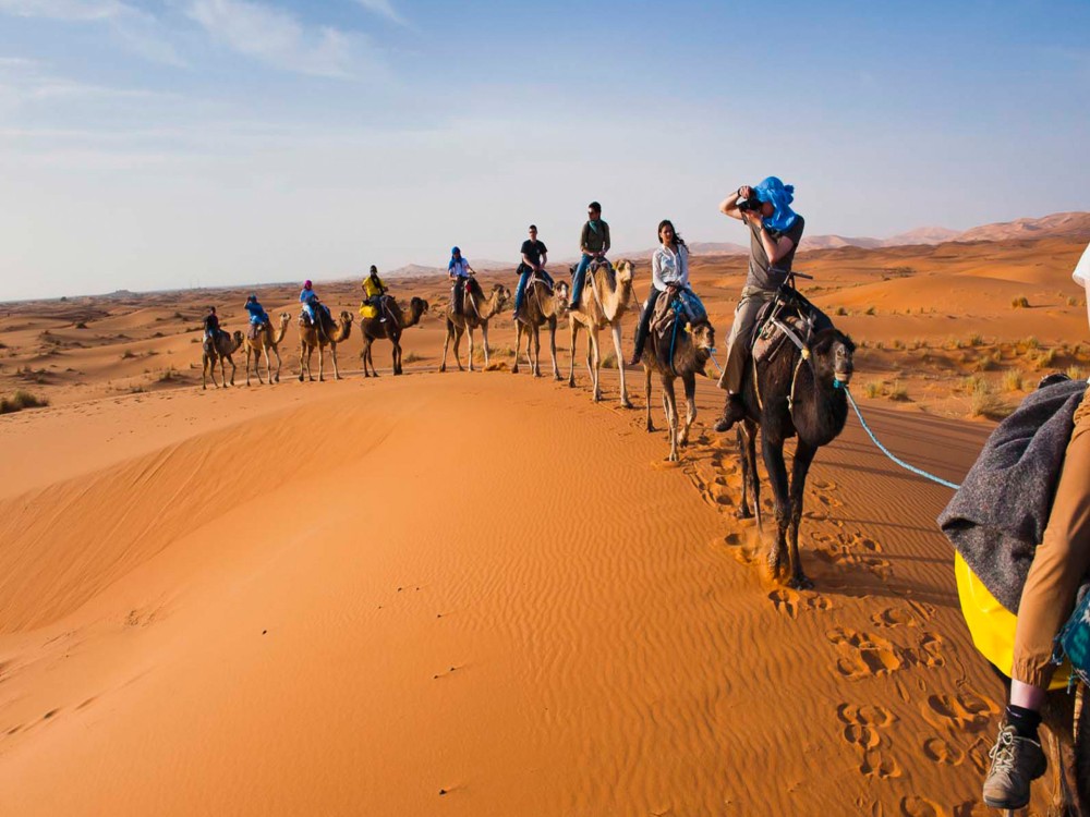 Beyond the Medina: Day Trips from Marrakech