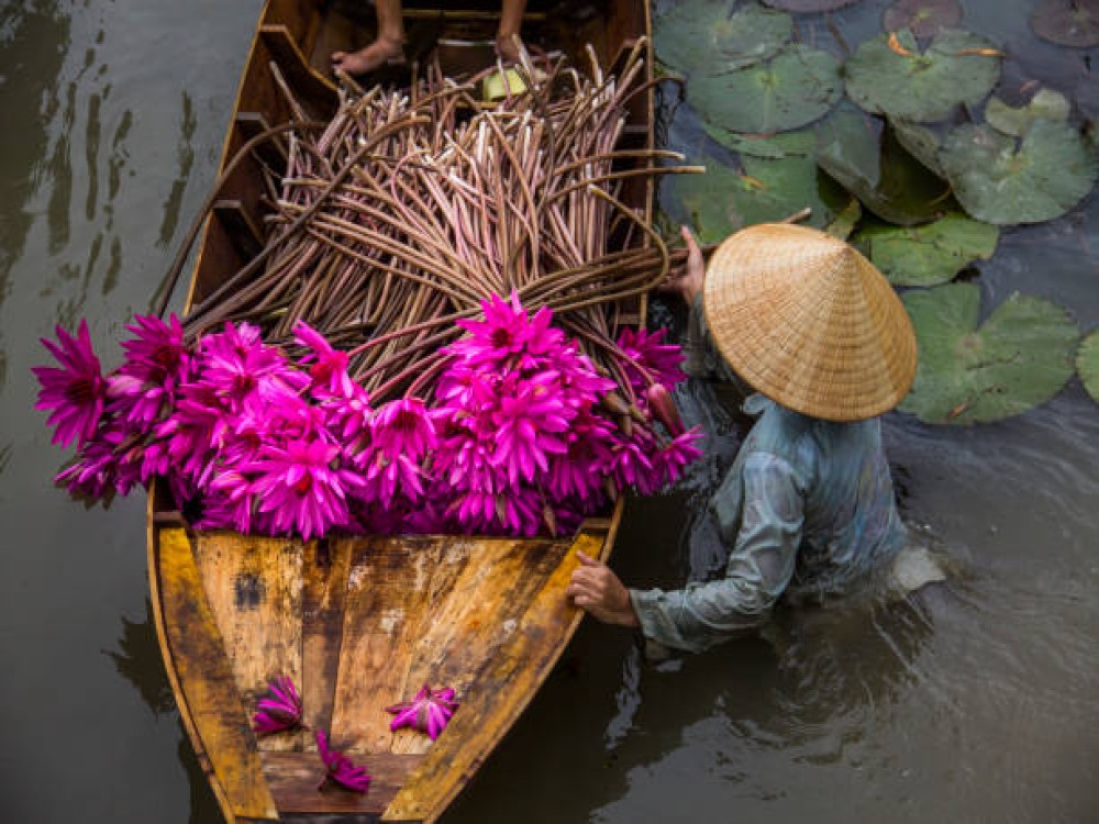 Tonlé Sap