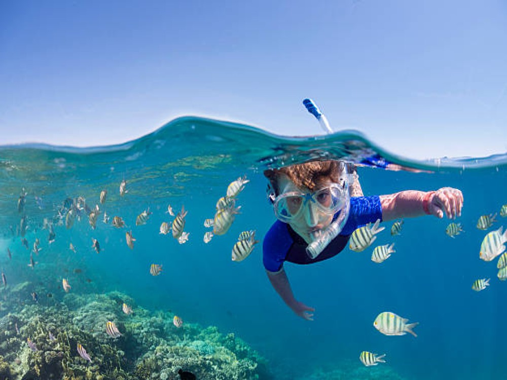 Sharm El Luli (Ras Hankorab) 