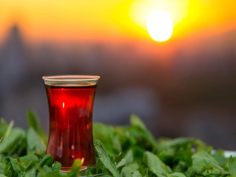 What is Turkey’s national drink?<