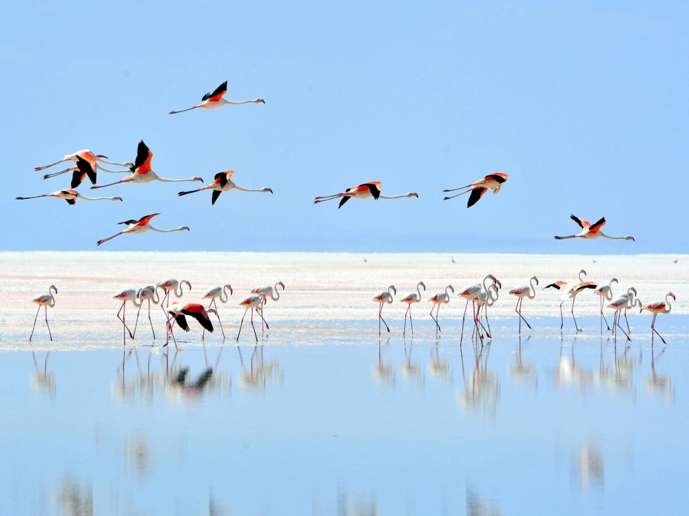 Salt Lake Cappadocia: A Natural Wonder