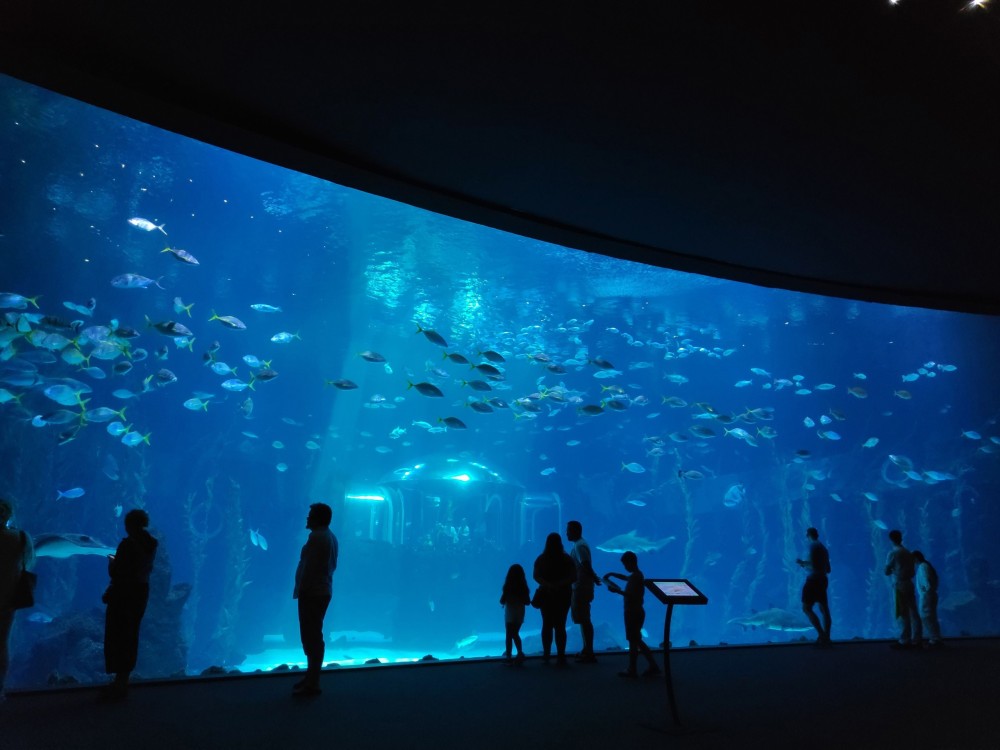 Poema del Mar Aquarium