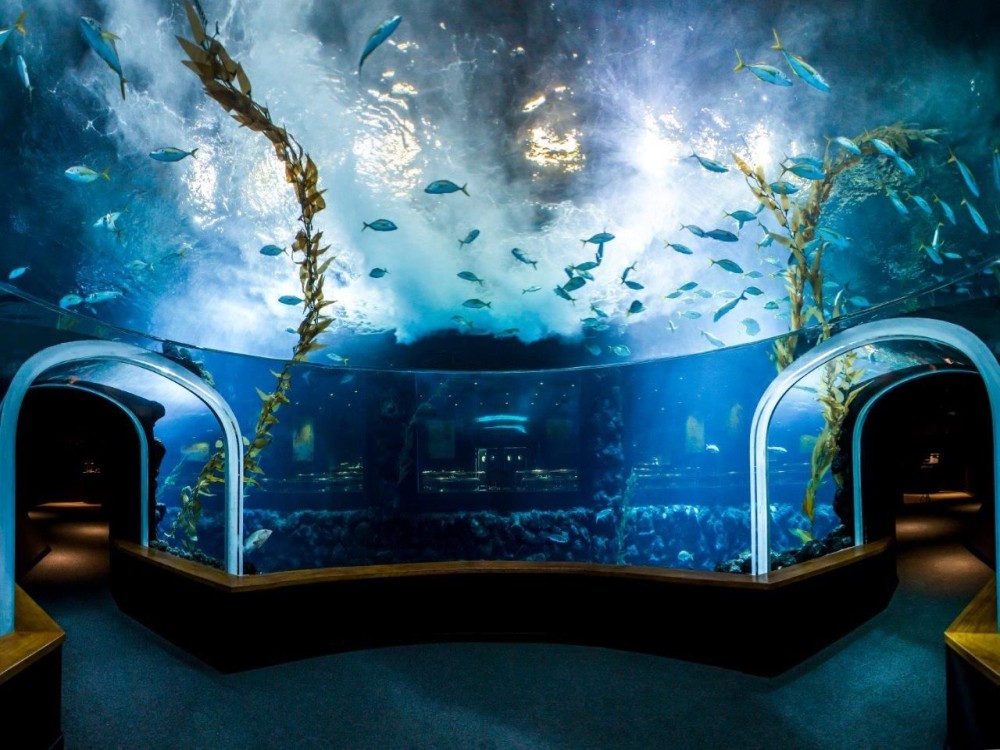 Poema del Mar Aquarium