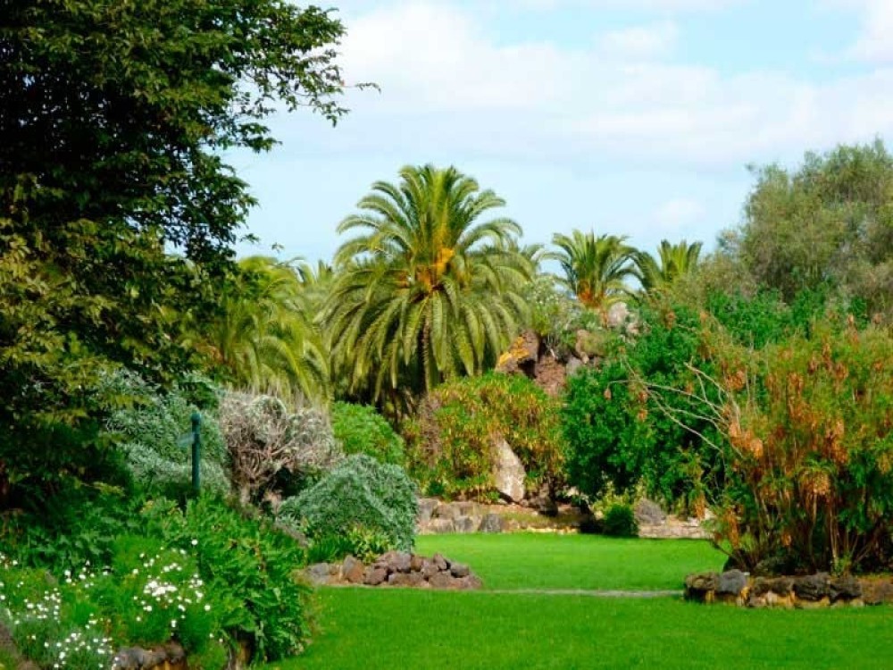 Jardín Botánico Canario Viera y Clavijo