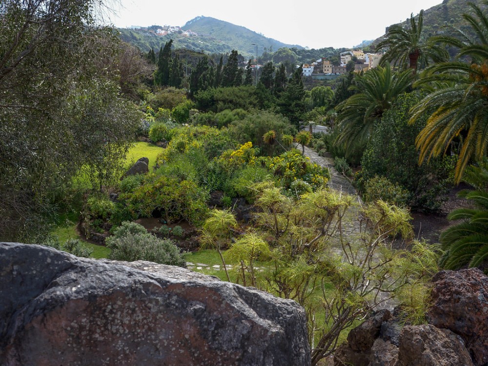 Jardín Botánico Canario Viera y Clavijo