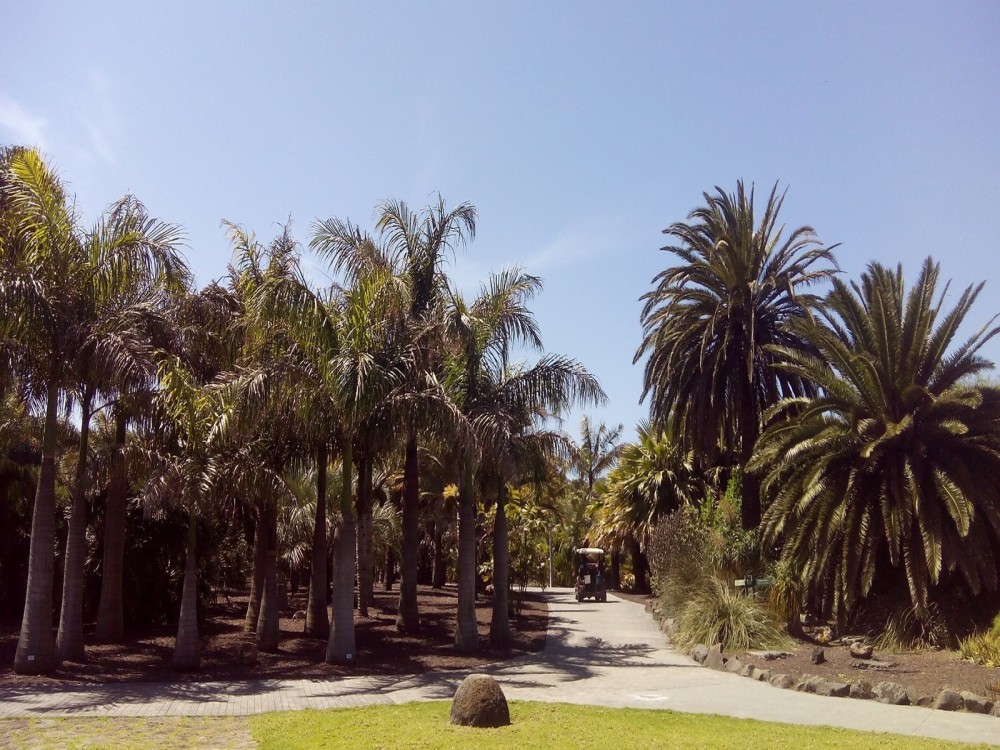 Jardín Botánico Canario Viera y Clavijo
