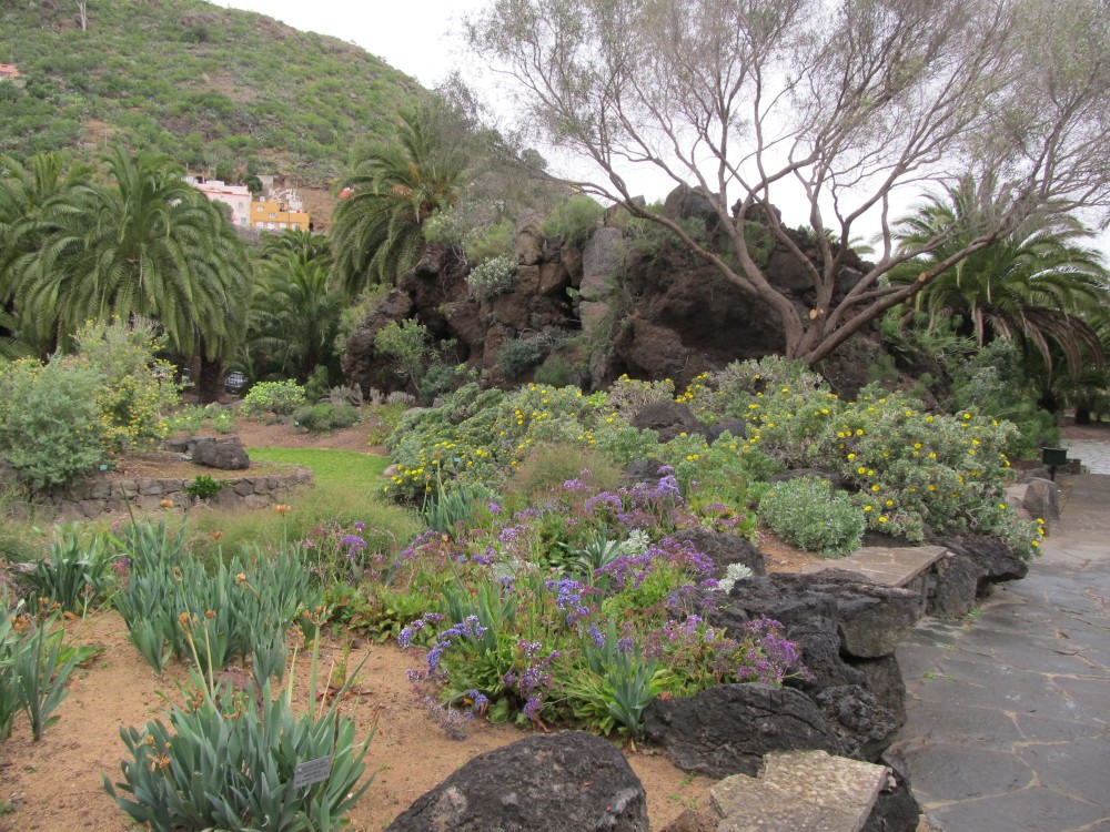 Jardín Botánico Canario Viera y Clavijo
