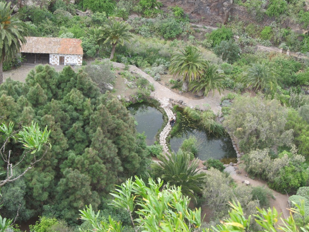 Jardín Botánico Canario Viera y Clavijo