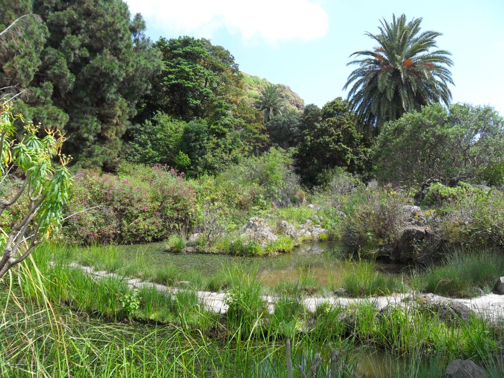 Jardín Botánico Canario Viera y Clavijo