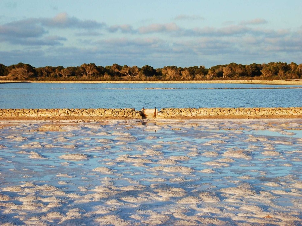 Ses Selines Natural Park