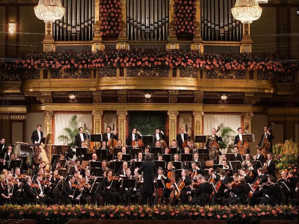 Vienna Music Society