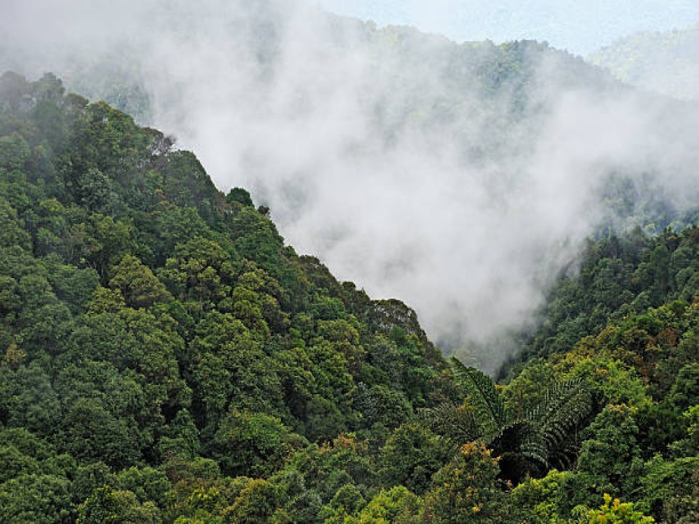 Bach Ma National Park (Vuon Quoc gia Bach Ma)