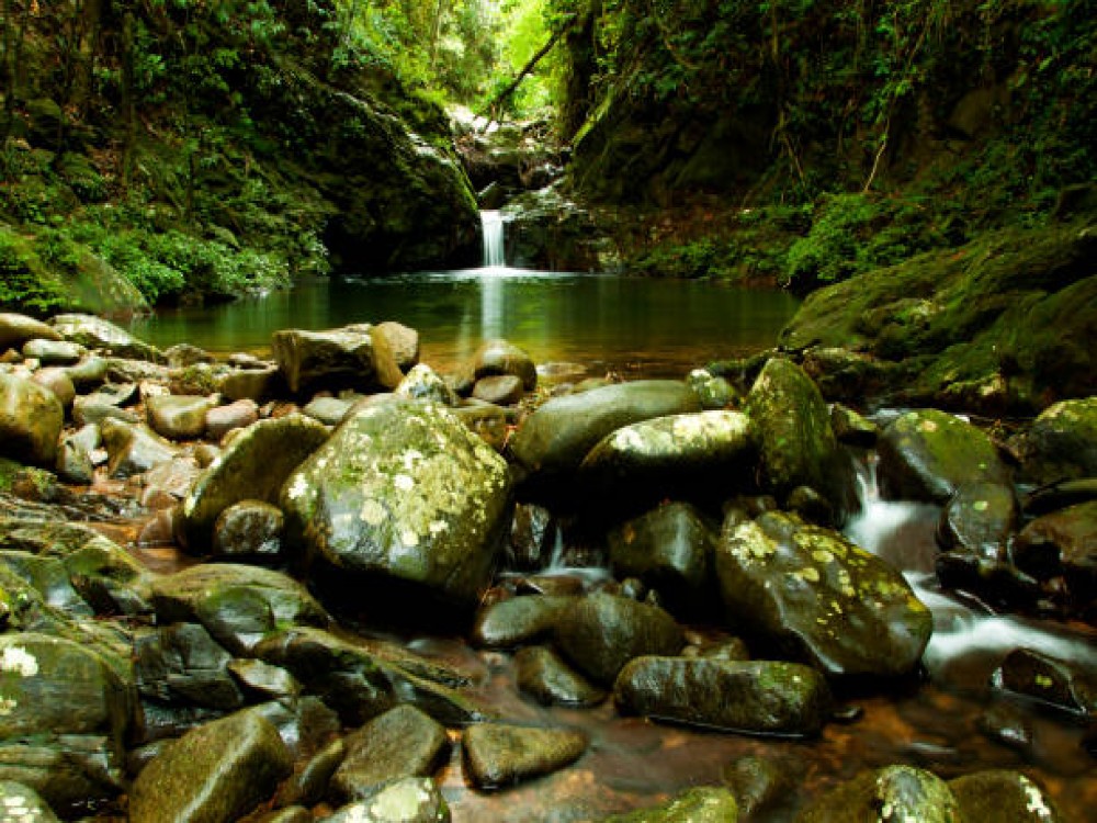 Bach Ma National Park (Vuon Quoc gia Bach Ma)