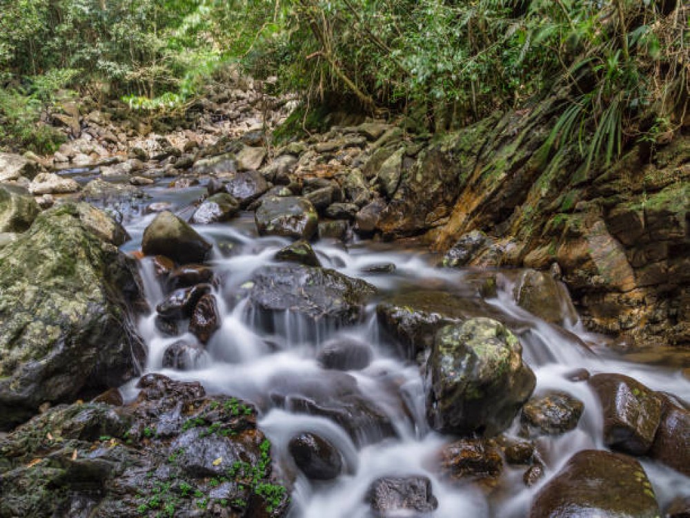 Bach Ma National Park (Vuon Quoc gia Bach Ma)