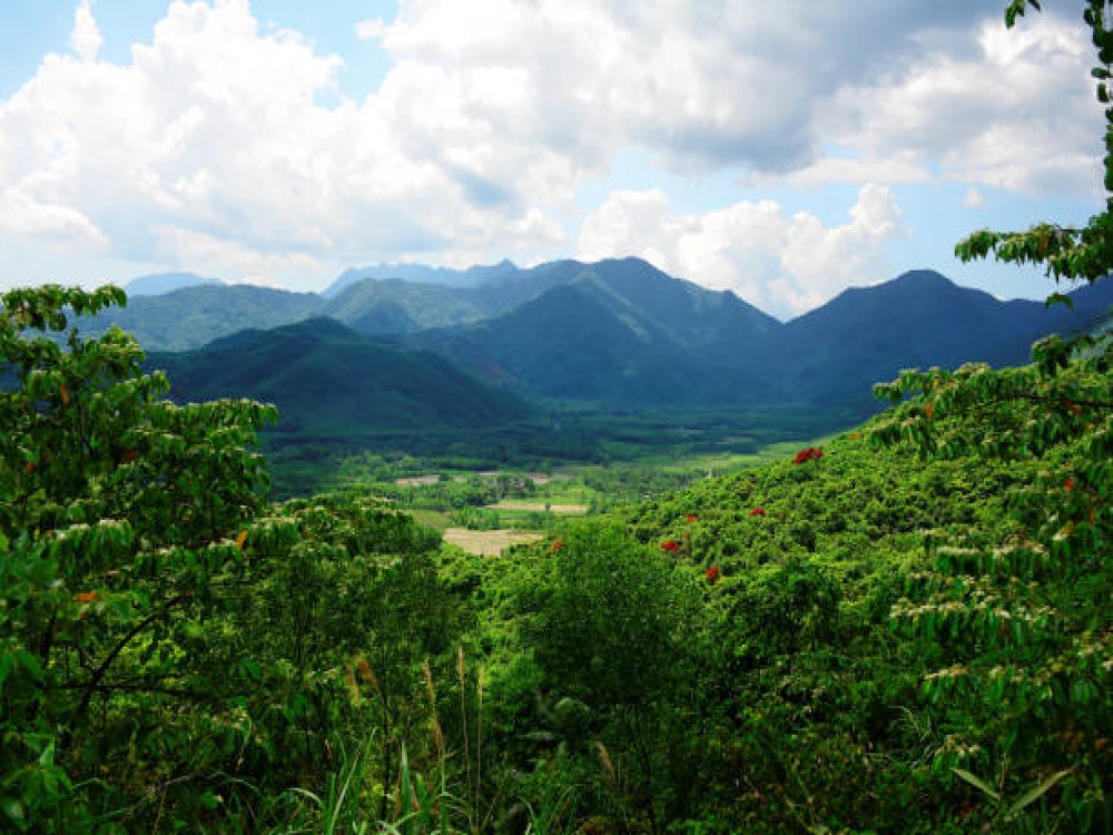 Bach Ma National Park (Vuon Quoc gia Bach Ma)