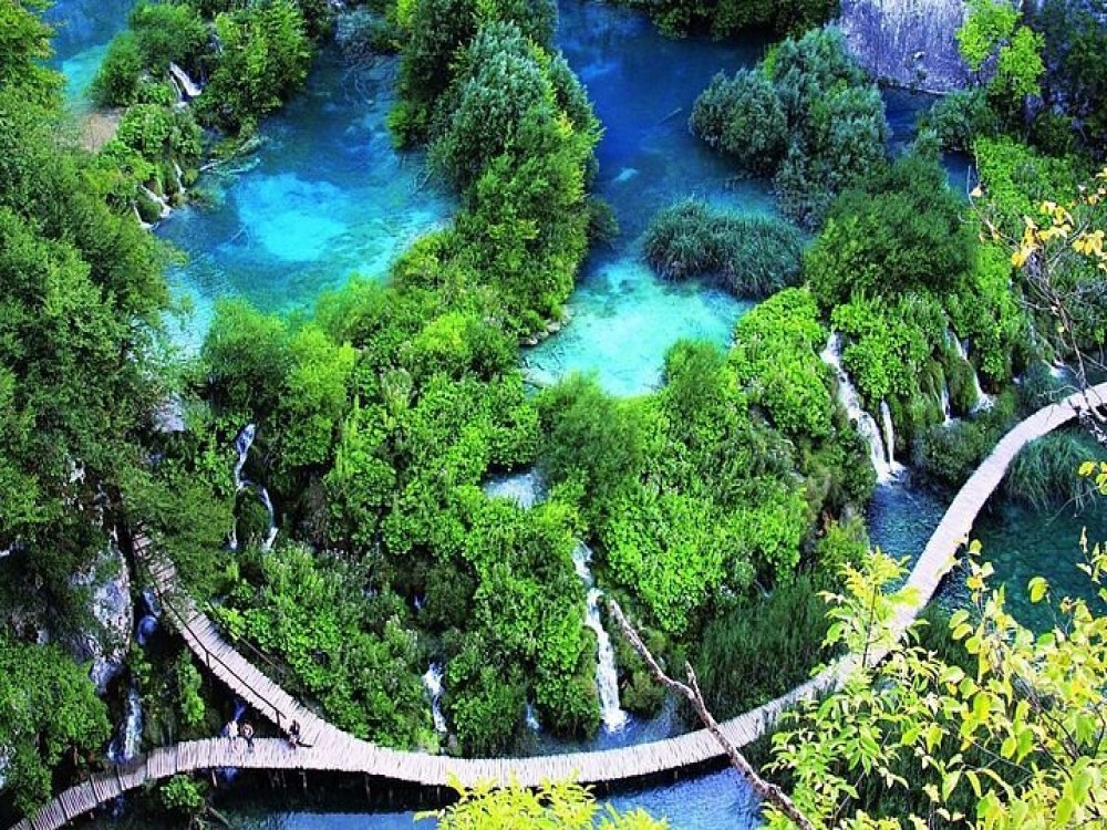 Bach Ma National Park (Vuon Quoc gia Bach Ma)