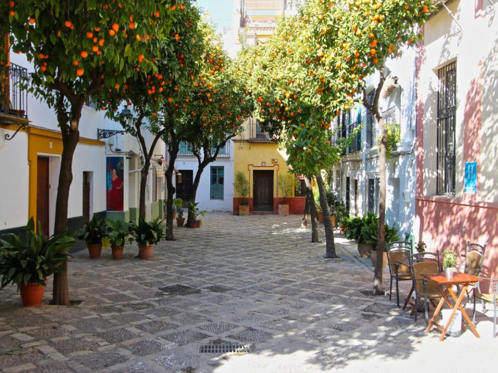 Santa Cruz