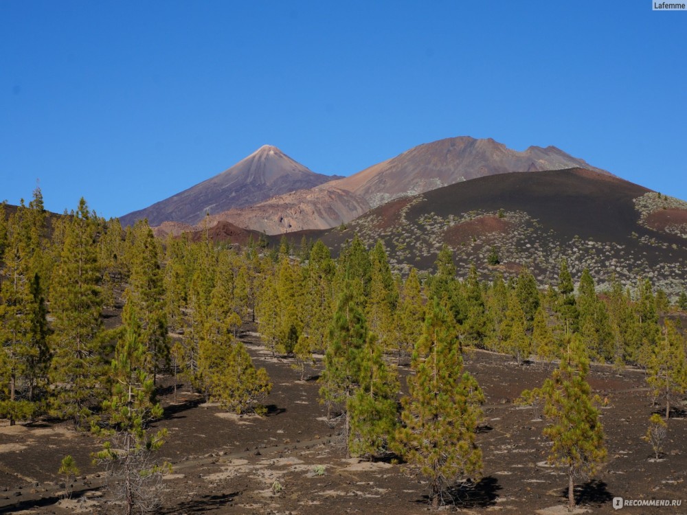 Teide National Park
