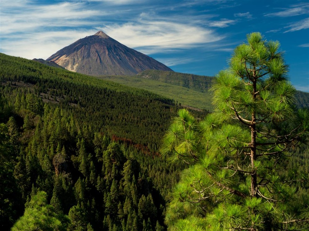 La Orotava Valley