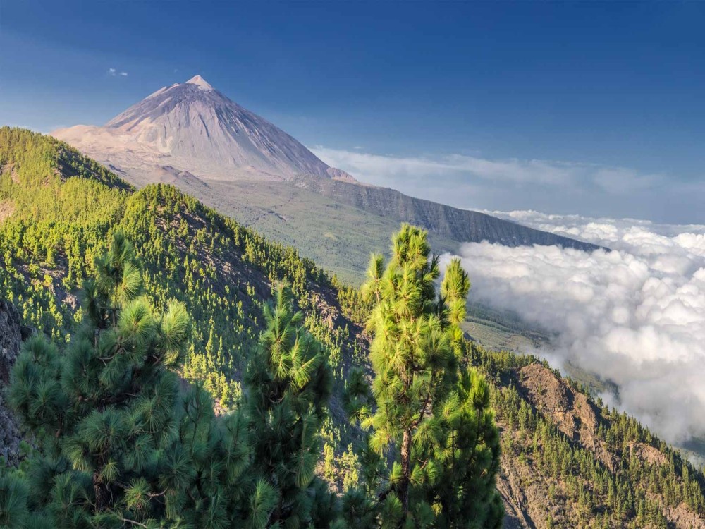 La Orotava Valley
