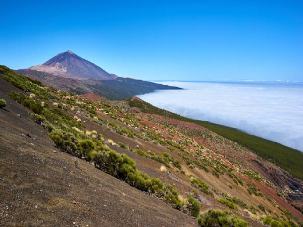 La Orotava Valley