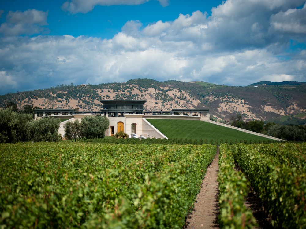 Monje Winery