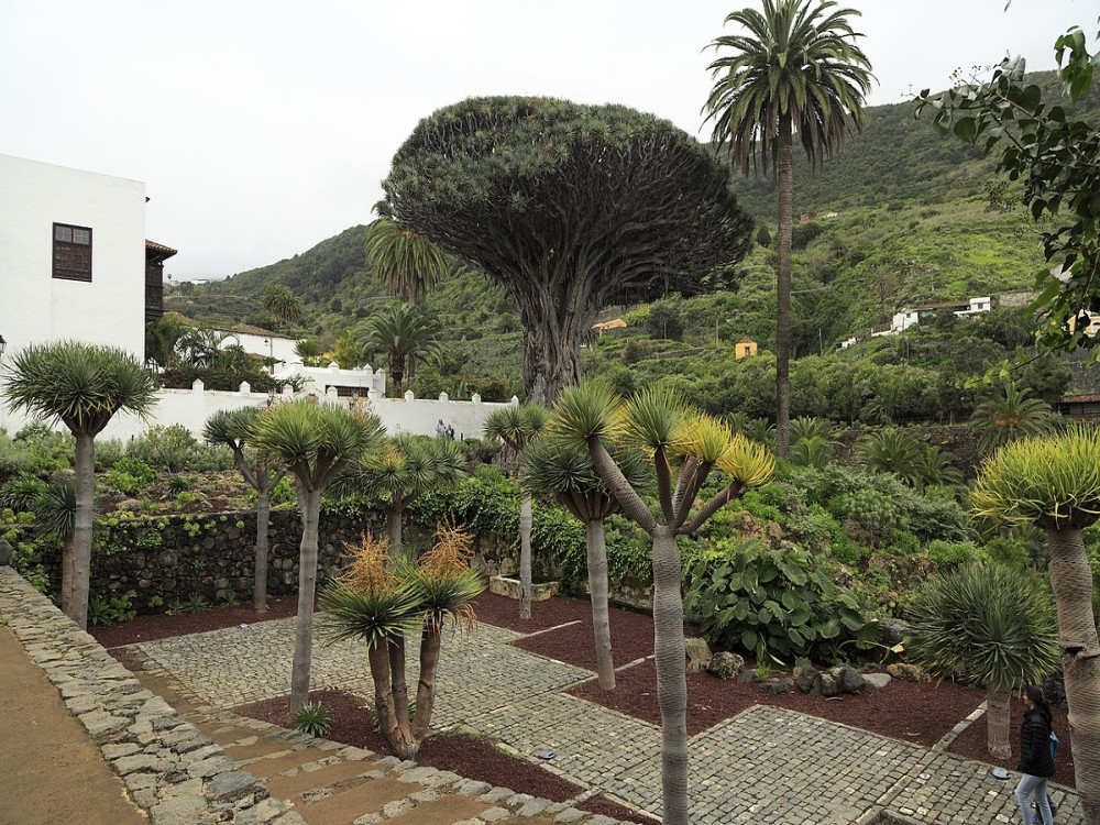 Drago Park