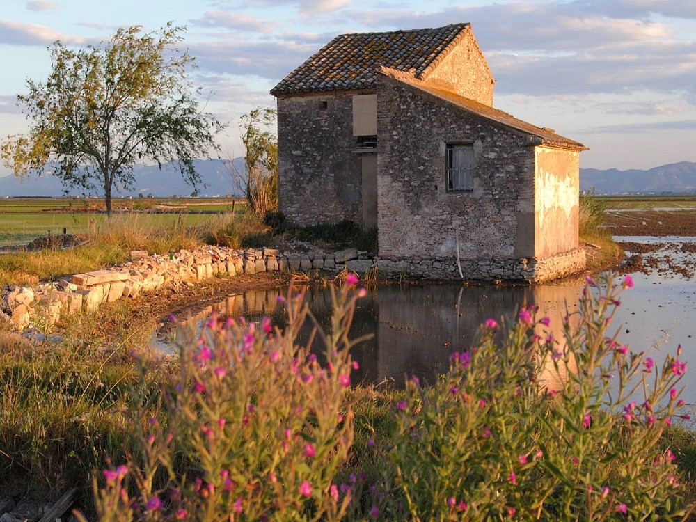 Albufera Natural Park 