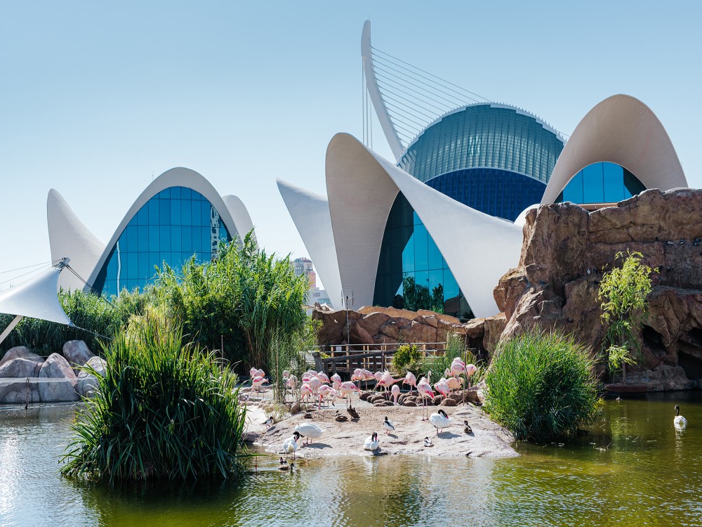 Valencia Oceanografic